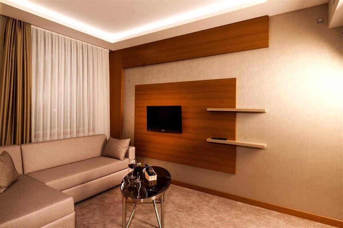 Studio Suite | Living area