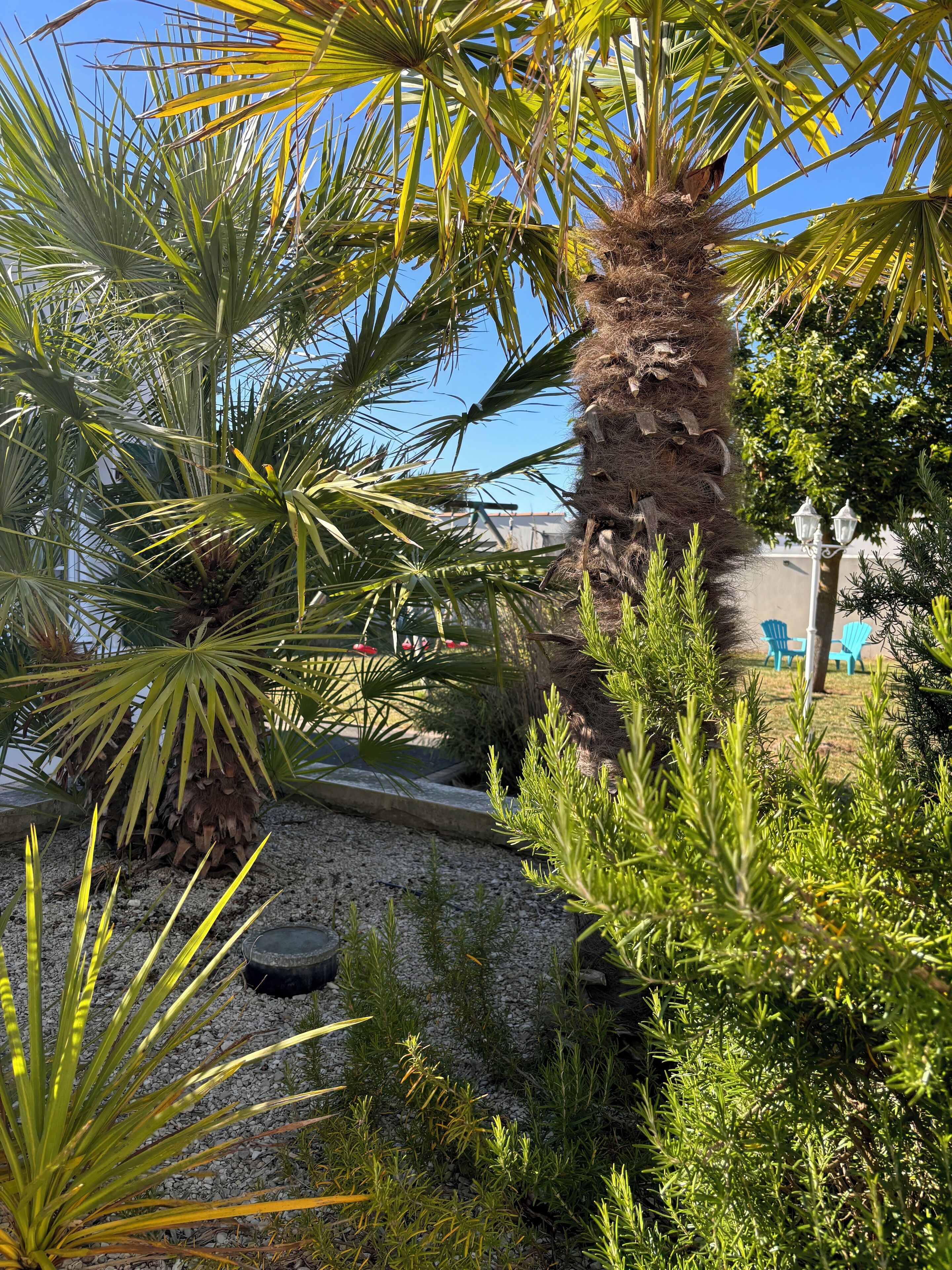 المنطقة المحيطة بالمنشأة