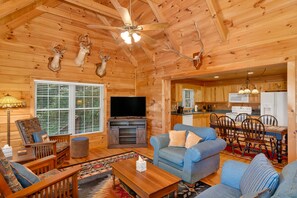 Älytelevisio, takka, kirjoja