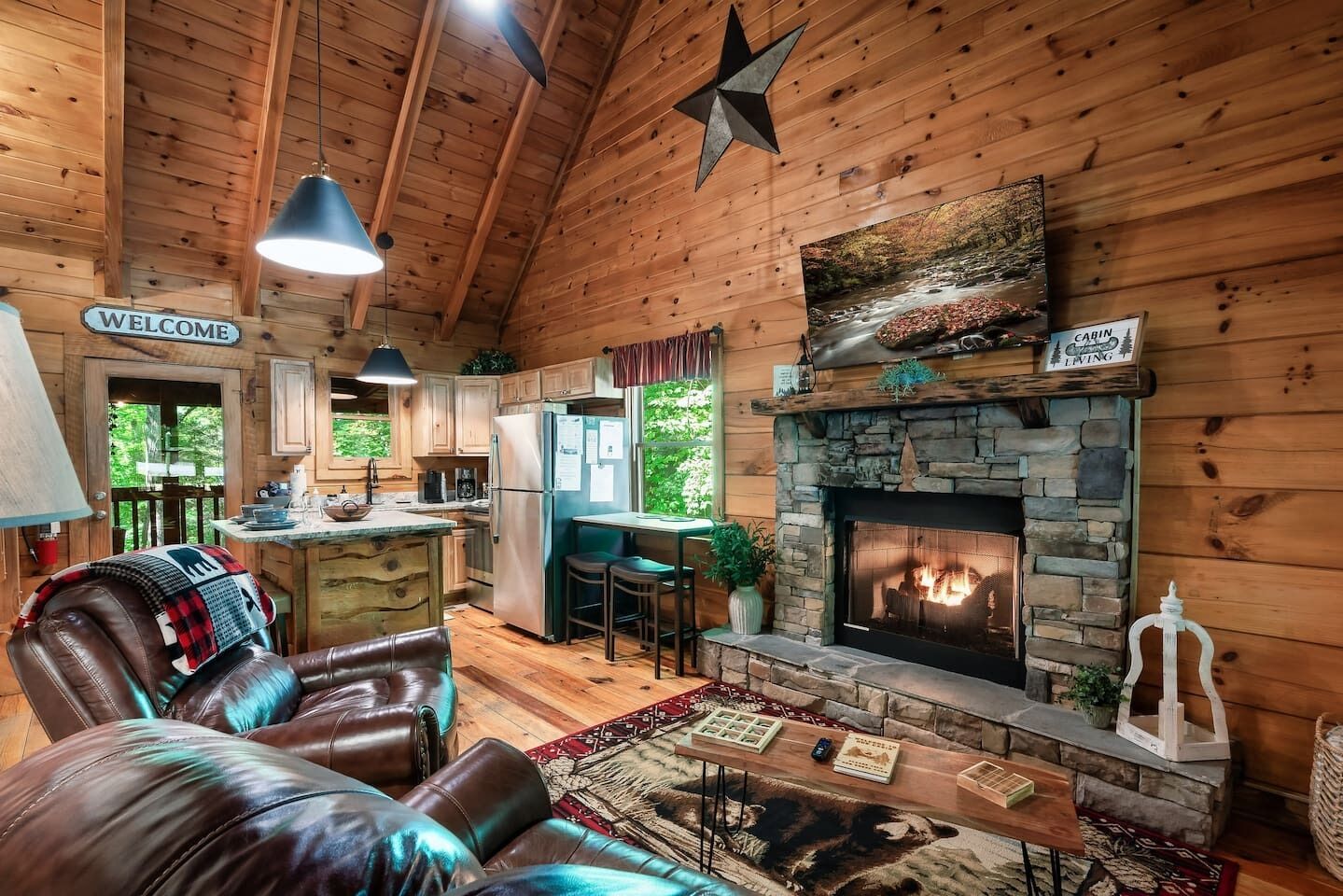 Smart TV, fireplace, books