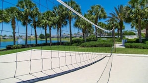 Ein Volleyballnetz in einer sonnigen Außenanlage mit Palmen und einem Gewässer im Hintergrund.