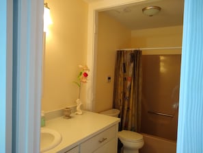 Combined shower/bathtub, hair dryer, towels, soap
