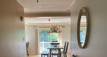 Windham/Hunter Modern Mountain Cabin on 22 acres