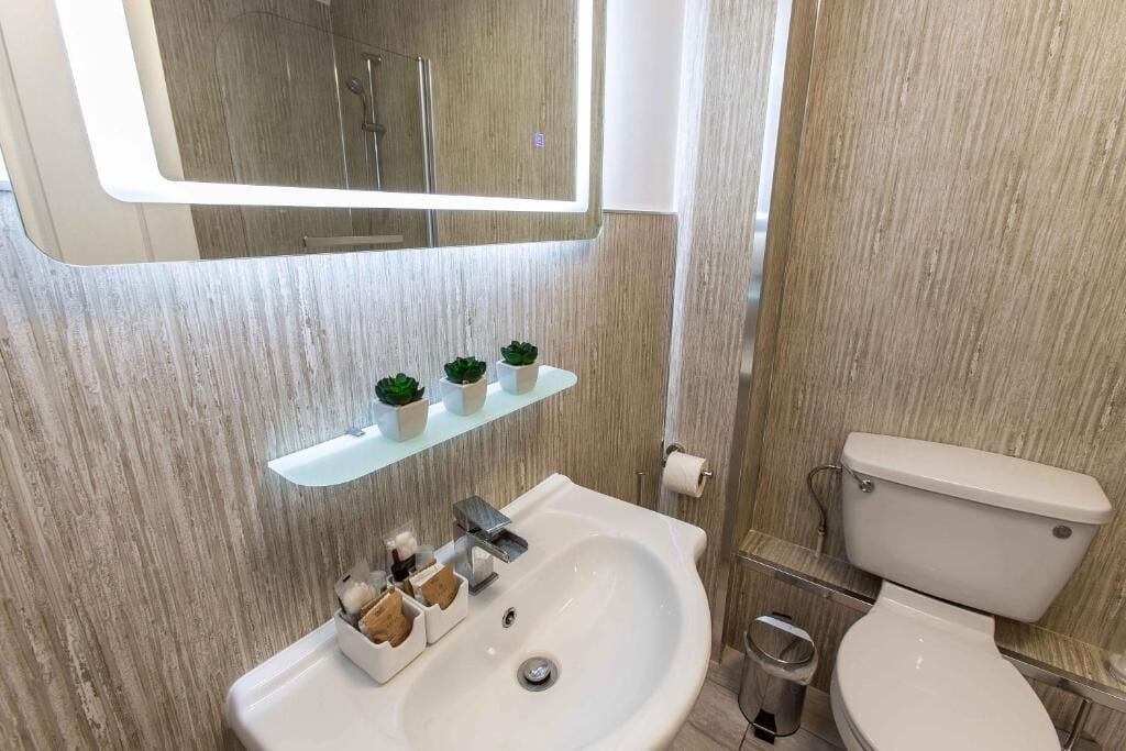 A bathroom with a white sink, a toilet, a mirror, and a shelf with potted plants.
