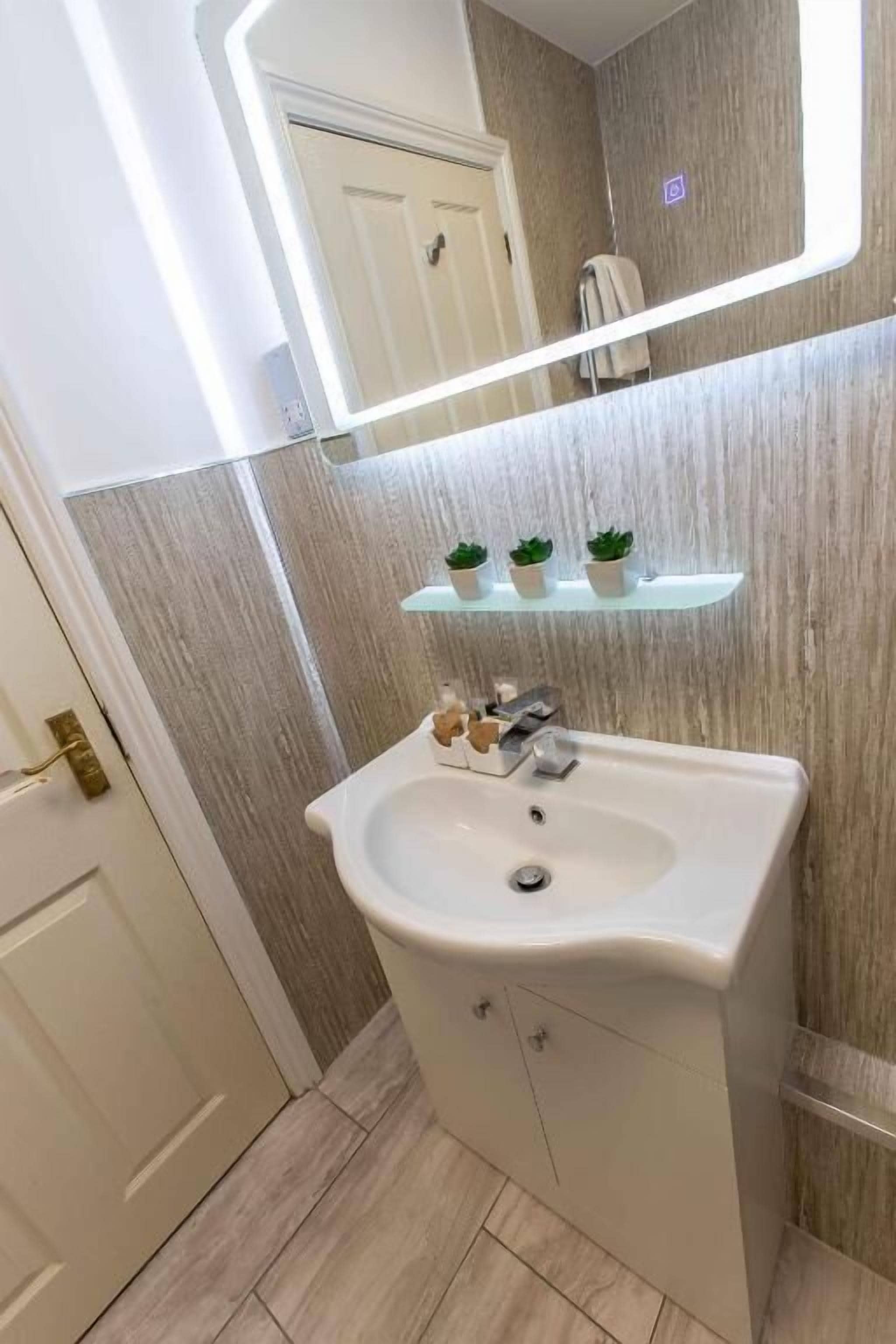 A bathroom with a white sink, a mirror, and a shelf with small potted plants.