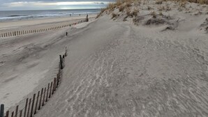 A sandy beach with a wooden fence and dunes. - Private 3Br Apt: King-2Queen -PetPally -LTR-STR (Bay Shore)