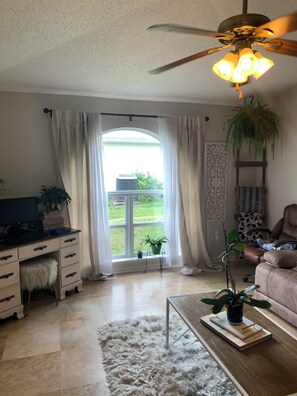 TV