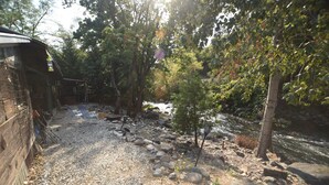 A gravel path with rocks and small trees, leading to a wooden structure. - ❤Riverfront Paradise - Butterfly Ranch on the River❤ (Dunsmuir)