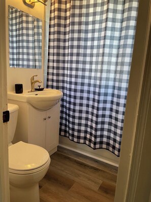 Un bany amb un vàter blanc, un lavabo amb un mirall a sobre i una cortina de bany a quadres.