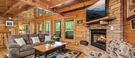 TV connectée, cheminée, jeux vidéo, lecteur de DVD