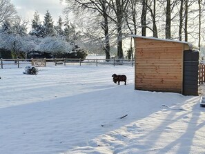 Jardines del alojamiento