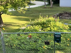Property grounds - TJ’s Country Getaway- Dog Friendly (Union)