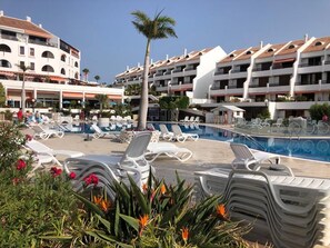 A hotel pool area with sun loungers, a palm tree, and a building with multiple balconies.