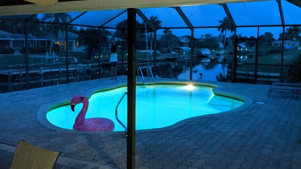 Une piscine intérieure décorée de motifs de flamants roses, entourée de carreaux hexagonaux et surmontée d’un plafond en bois.