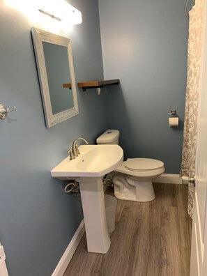A bathroom with a sink, toilet, and mirror. - Northside Cape 2 bedroom with a large loft! (Richmond)