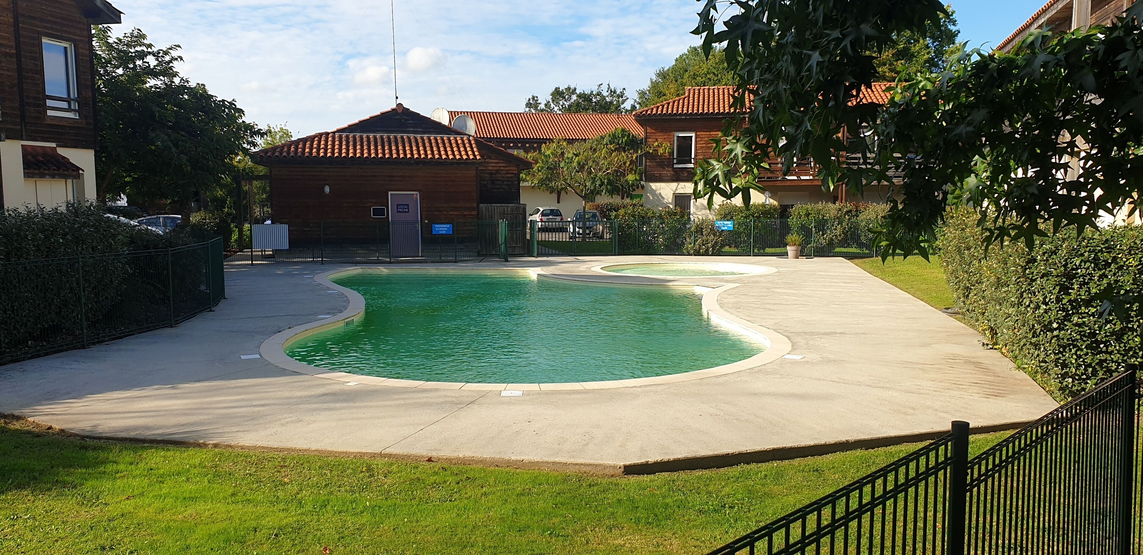 A swimming pool with a curved design, surrounded by a concrete deck and a grassy area.