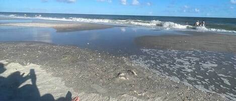 Sun loungers, beach towels