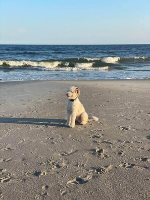 På stranden, liggestole, badehåndklæder
