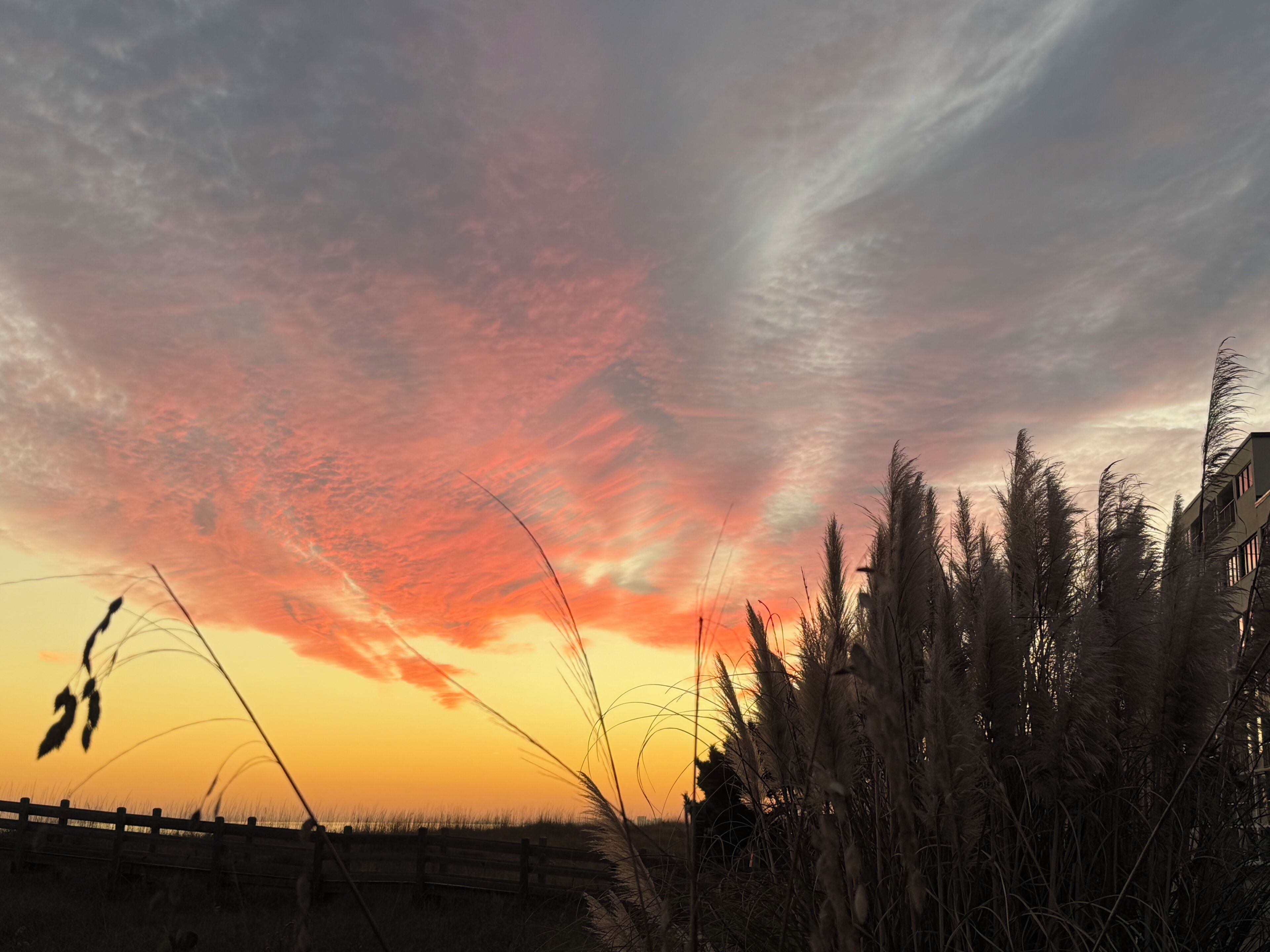 Un atardecer sobre un campo con una cerca y pastos altos.