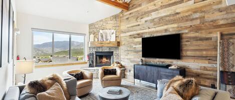 Smart TV, fireplace, books