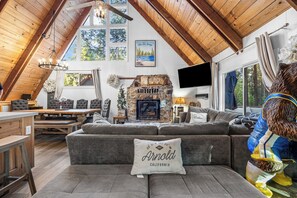 Smart TV, fireplace, video games, DVD player