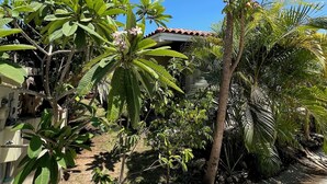 A garden with various tropical plants and a tall palm tree. - 4-6 guests, 5 Beds / 2.5 Baths • Private Villa / Beachfront Pool & Club (Las Escobas del Venado)
