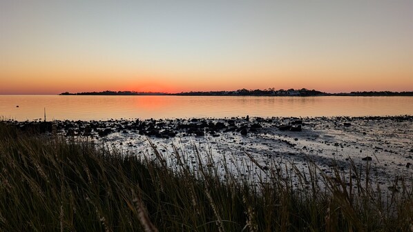 A beach at sunset with a calm sea, rocky shore, and tall grasses in the foreground.
