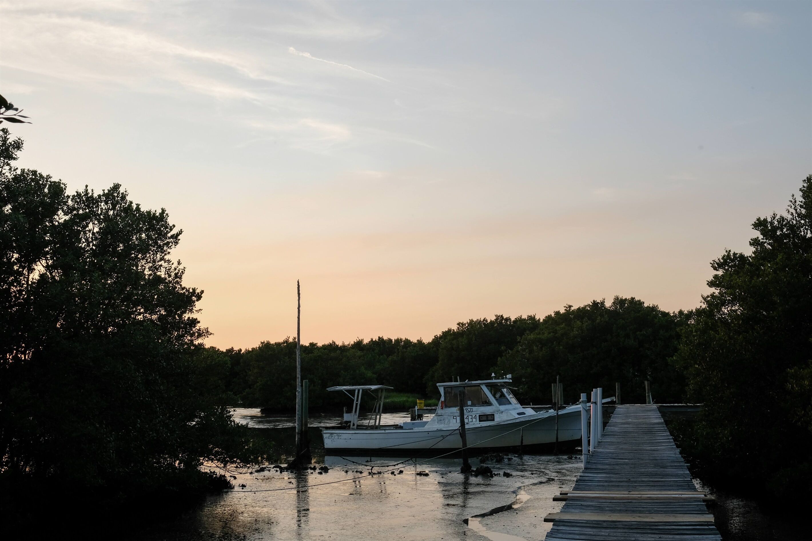 Un bateau était amarré à un quai en bois, avec une forêt en arrière-plan.