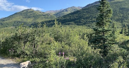 Denali RV Park and Motel