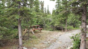 Une zone boisée avec un sentier de gravier et des tables de pique-nique.