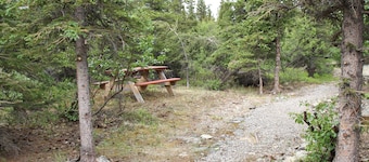 Denali RV Park and Motel
