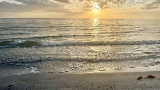 Beach nearby, sun-loungers - Beach Ave Escape Unit B - Just steps from the Beach! (Redington Shores)