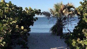 A sandy beach path leading to the sea, surrounded by green foliage and a palm tree. - CaptiVista! Your dream waterfront escape! Rustic luxury with unbelievable views! (North Captiva Island)