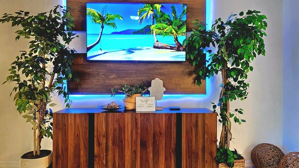 A wooden TV stand with a flat-screen TV displaying a beach scene, flanked by two potted plants.