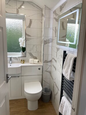 A compact bathroom with a toilet, sink, and mirror. - Leeward House - Donnini Apartments (Ayr)