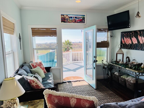 Smart TV, DVD player, books, video library