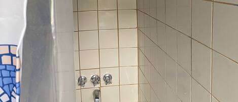 Combined shower/tub, hair dryer, towels, soap