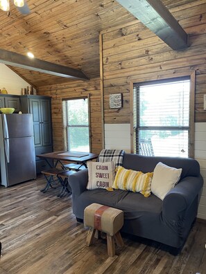 TV, fireplace, DVD player, books