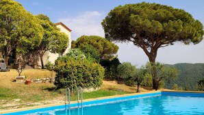 A swimming pool with wooden deck, surrounded by trees and a stone wall.