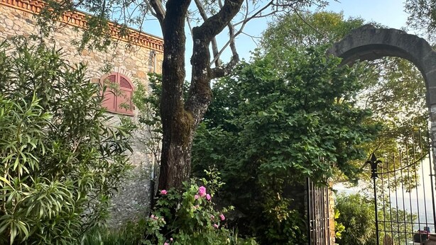 An outdoor dining area with a rustic wooden table set for a meal, surrounded by lush greenery and a stone building in the background.