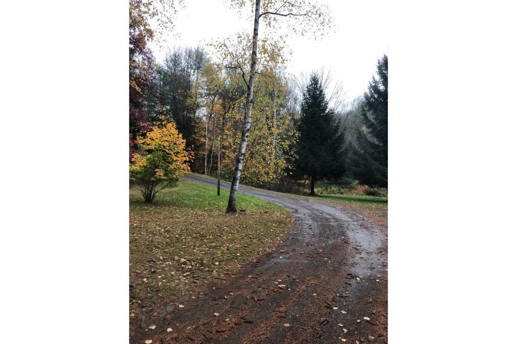 Beekman Woods