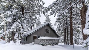 Una cabaña rodeada de árboles cubiertos de nieve.