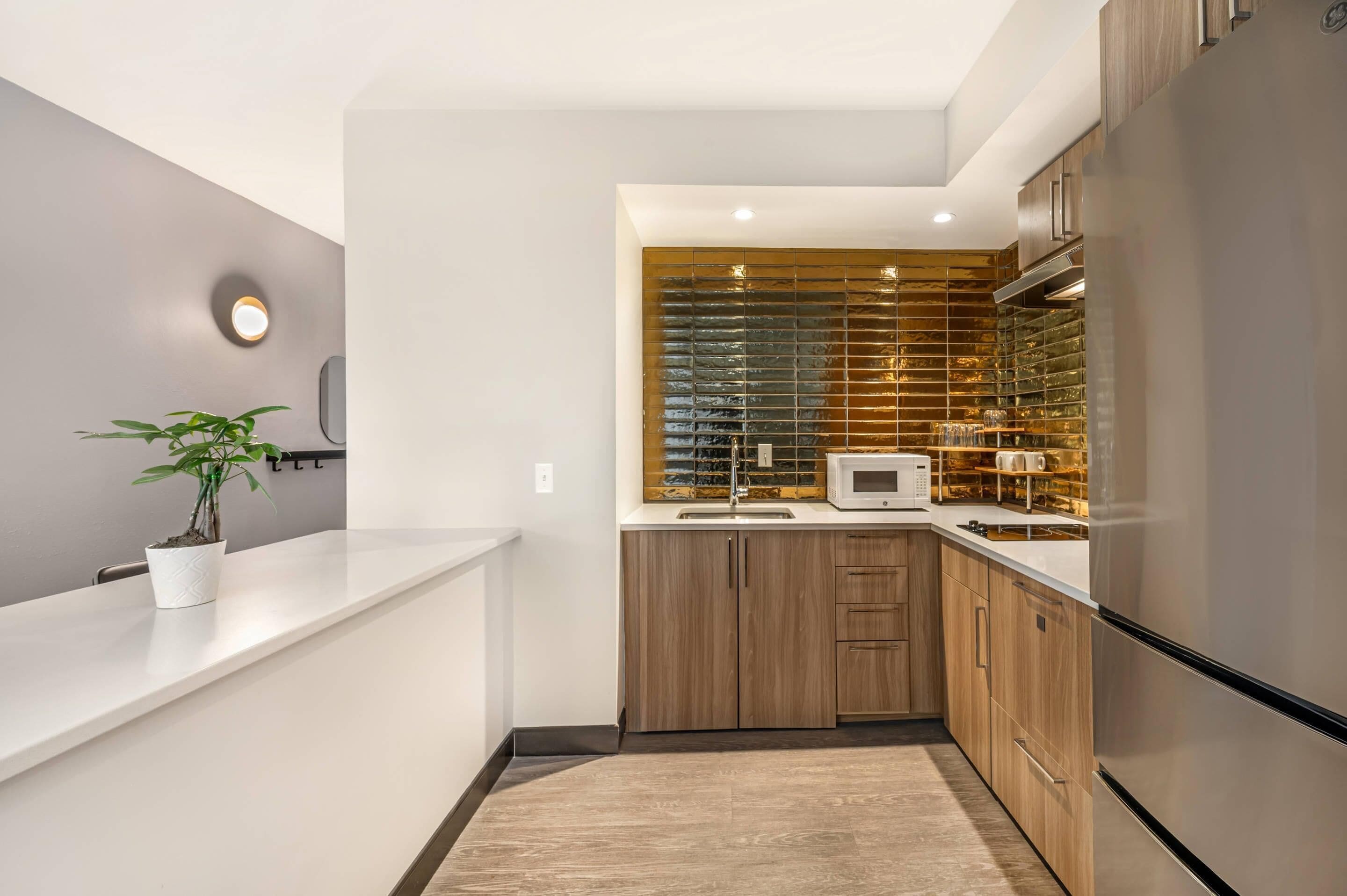 Großer Kühlschrank, Mikrowelle, Herdplatte, Geschirrspüler