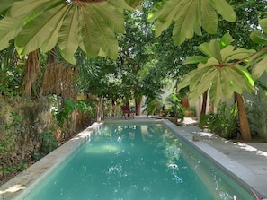 Outdoor pool - Casa Arabe - Yucatan Home Rentals (Mérida)