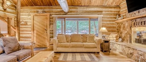 Télévision, cheminée, lecteur de DVD