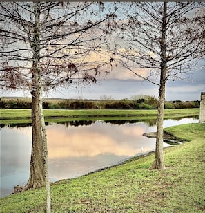 Property grounds - Studio, Private Entrance, fenced in quiet corner, pets ok, large Parking area (St. Cloud)