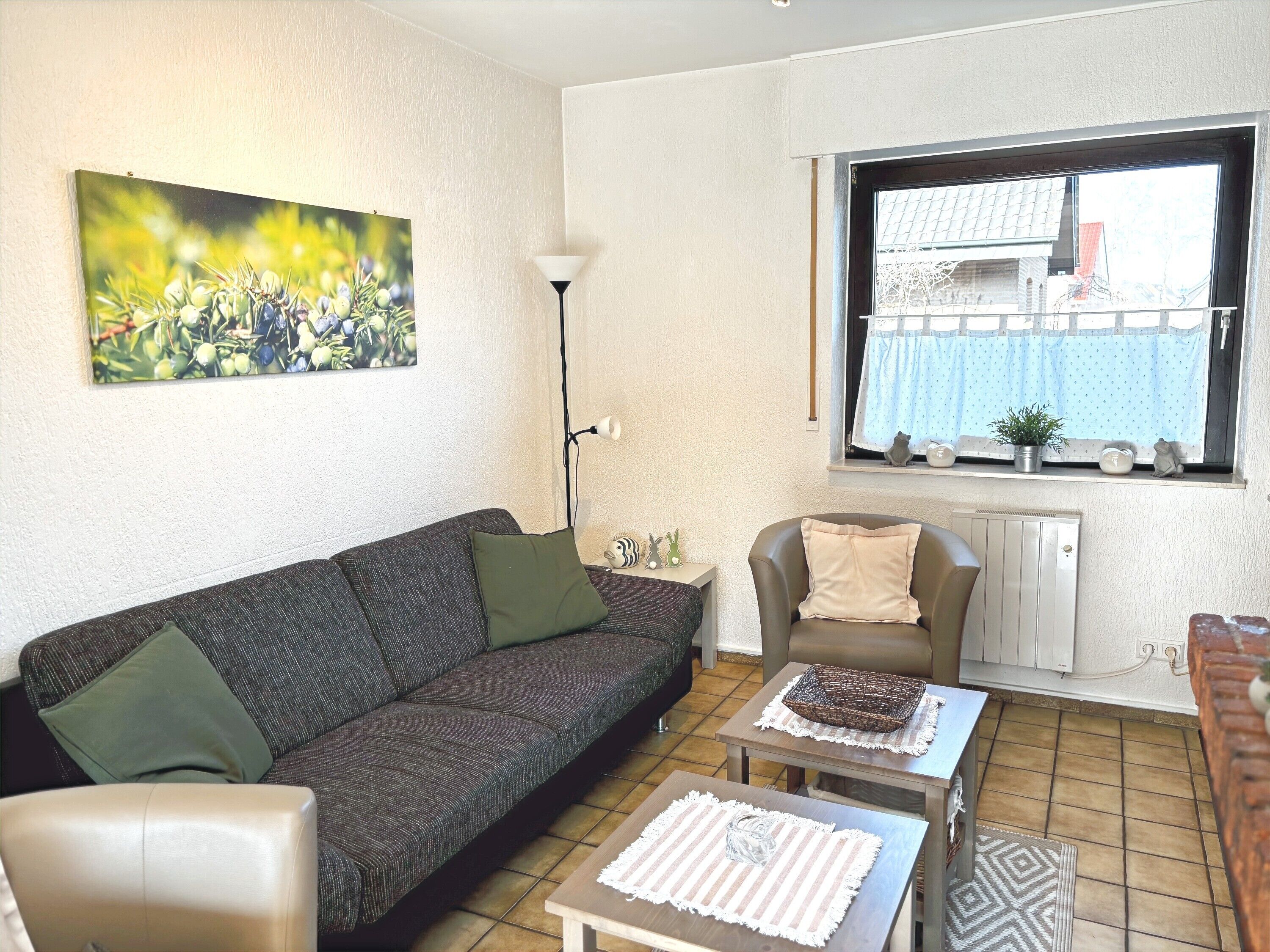 TV, fireplace, DVD player