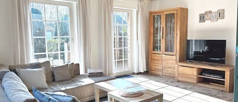 Televisión, chimenea y reproductor de DVD