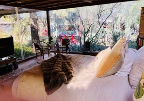 2 bedrooms, free WiFi - Artist Zen Retreat in the Heart of Tucson (Tucson)