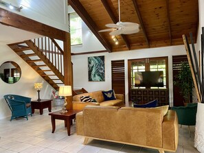 تلفزيون ذكي، كُتُب